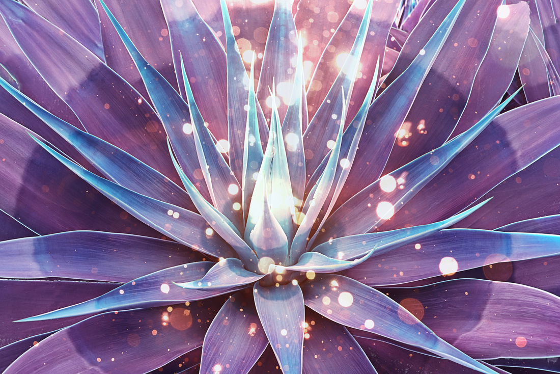 Abstract blue agave with magic vibes and spiritual glowing light.